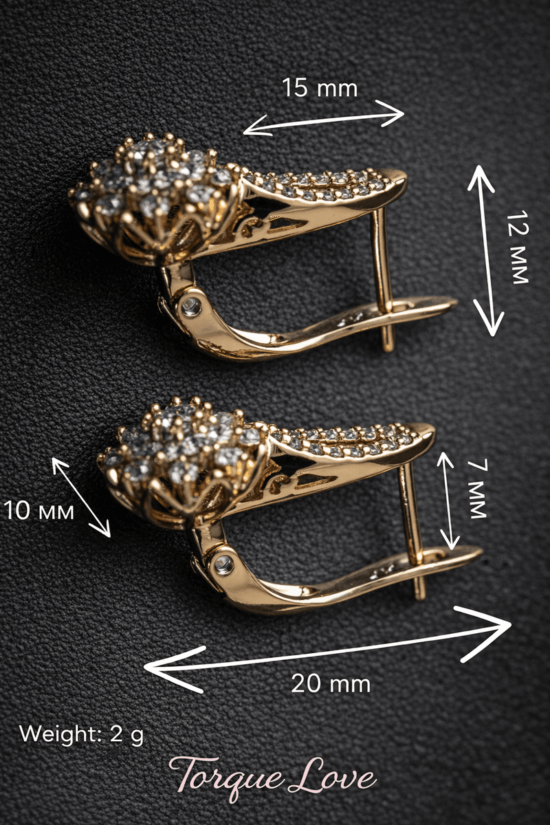Earrings jewelry medical alloy with stones