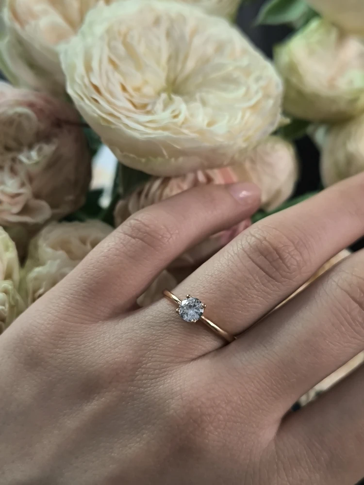 Bild av Lina F.